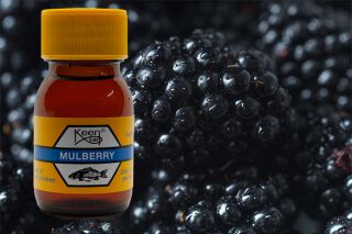 Mulberry  Keen Carp Flavour 30ml Flasche
