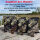 4 Sorten á 5Kg PennyBoilies plus 4 Dosen Hooker